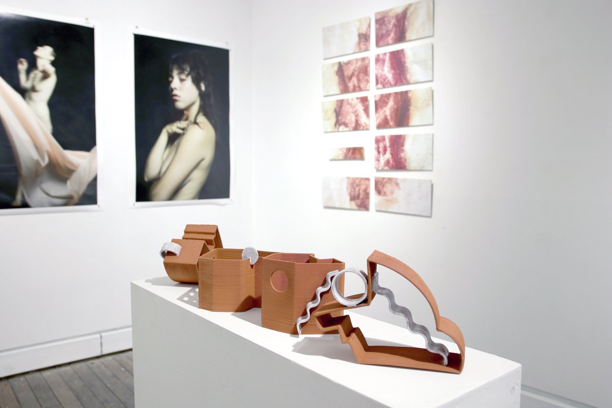 Allegra Holmes, Susan Chen, Wonderland, 2019, 3-D printed Stoneware, Ceramic tiles, Photographic decals