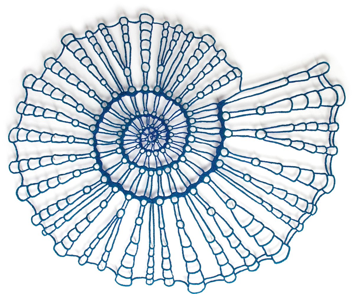 Azure Ammonite