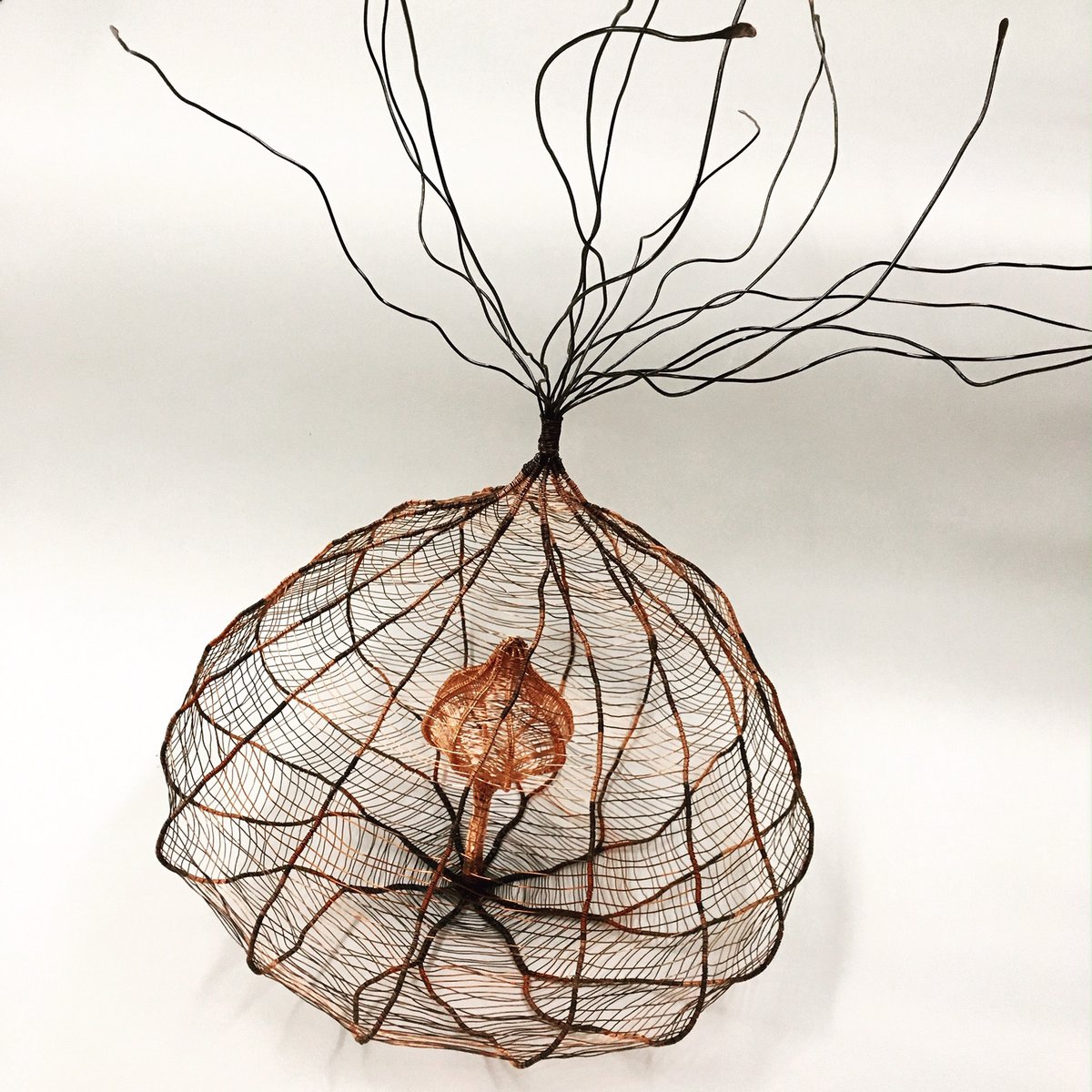 Pod, Sally Blake