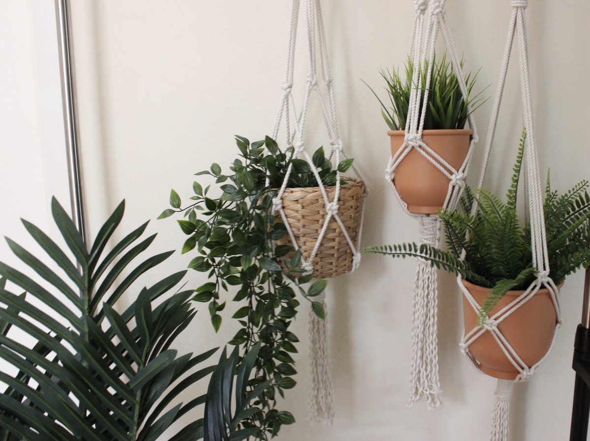 Create With Us Macrame Plant Hanger Workshop